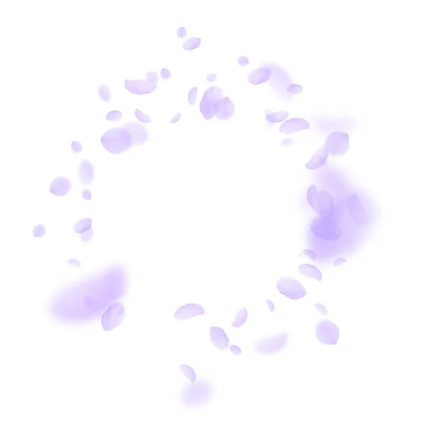 Des pétales de fleurs violettes tombent. Roma incroyable — Image vectorielle