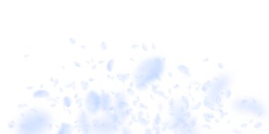 Açık mavi çiçek yaprakları dökülüyor. Çok güzel.