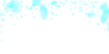 Turkuaz çiçek yaprakları aşağı düşen. Hoş rom