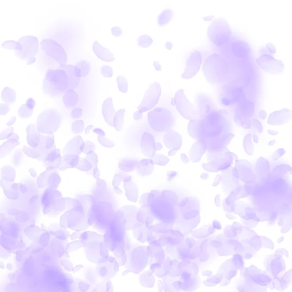 Лепестки фиолетовых цветов падают. Великий романтик — стоковый вектор