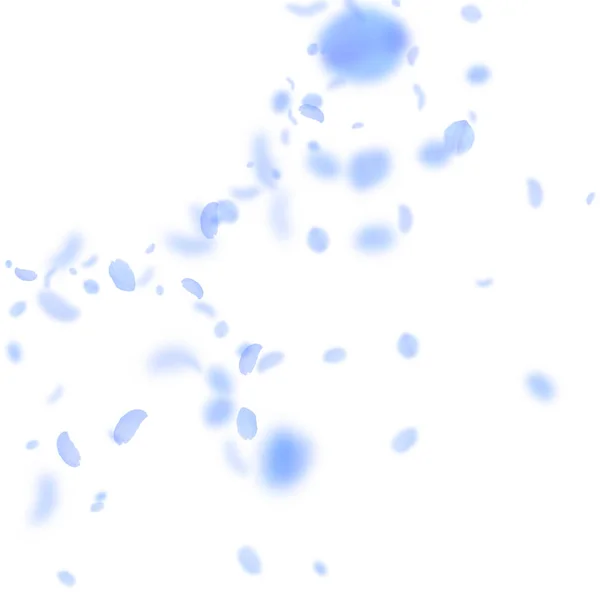 Donkerblauwe bloemblaadjes vallen naar beneden. Subliem roma — Stockvector
