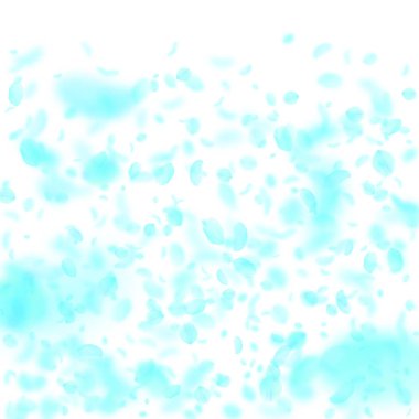 Turkuaz çiçek yaprakları dökülüyor. Değerli rom