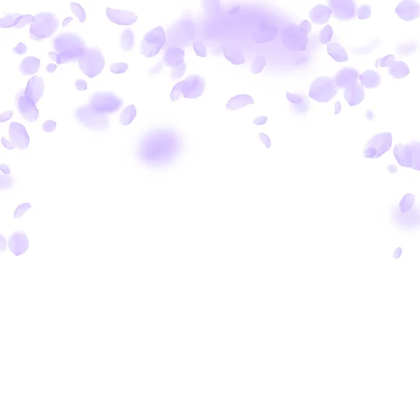 Лепестки фиолетовых цветов падают. Потрясающий роман — стоковый вектор