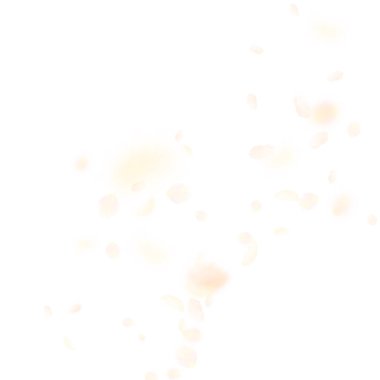 Sarı turuncu çiçek yaprakları dökülüyor. İştah