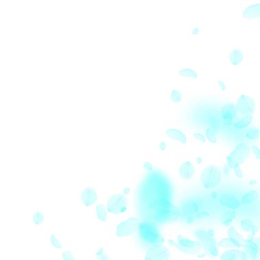 Turkuaz çiçek yaprakları dökülüyor. Kendinden geçmiş bir romantik.