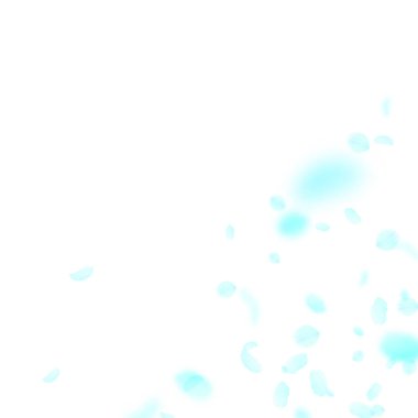 Turkuaz çiçek yaprakları dökülüyor. Klas Romalı