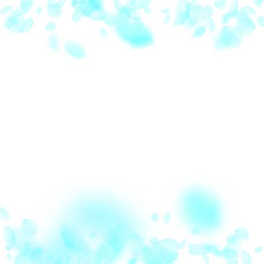 Turkuaz çiçek yaprakları dökülüyor. Büyüleyici. 