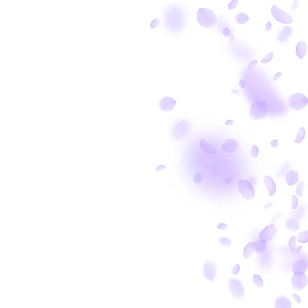 Pétalas de flores violetas a cair. Linda romântica — Vetor de Stock