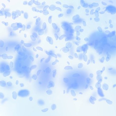 Koyu mavi çiçek yaprakları dökülüyor. Zarif Roma.