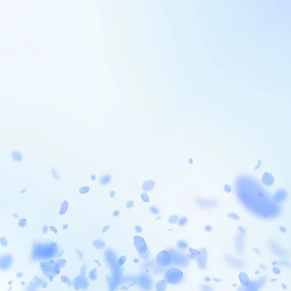 Pétalas de flores azuis escuras caindo. Glamoroso ro — Vetor de Stock