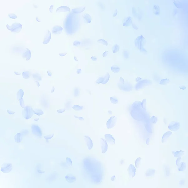 Pétales de fleurs bleu clair tombant. Enchanteur — Image vectorielle