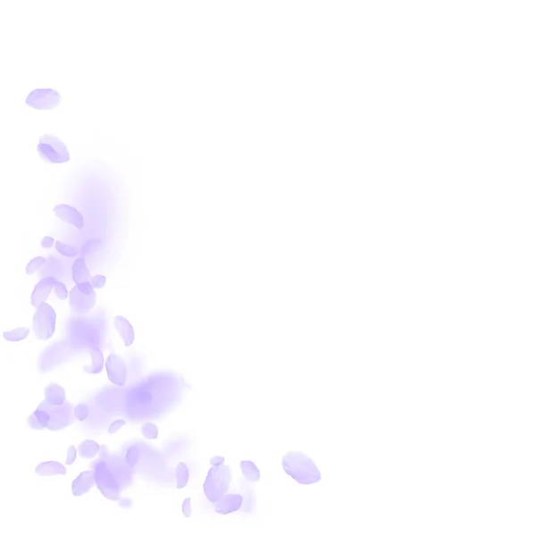 Pétalas de flores violetas a cair. Rom surpreendente — Vetor de Stock