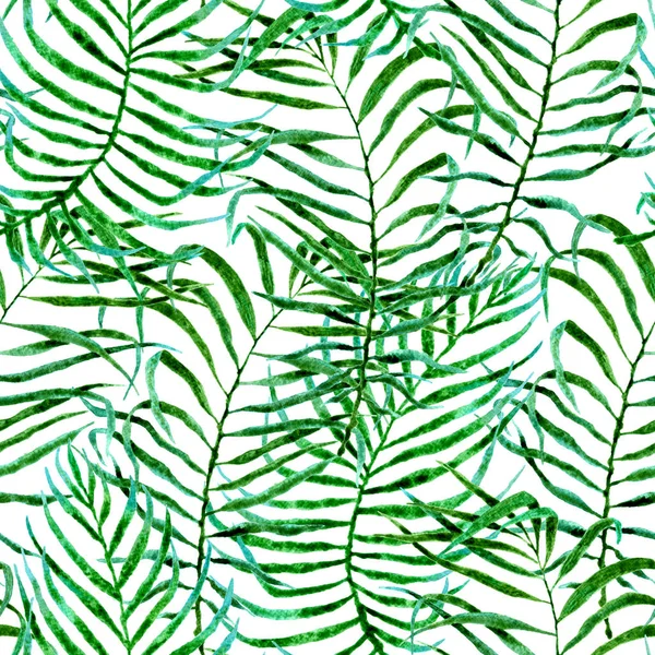 Tropical seamless pattern. Watercolor tangled palm