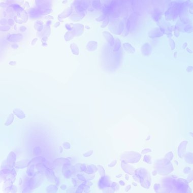 Mor çiçek yaprakları dökülüyor. Muhteşem romantik.