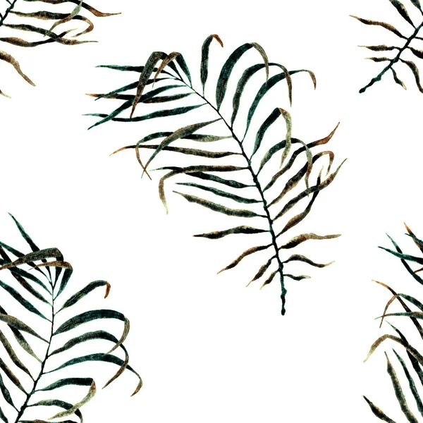 Tropiska sömlösa mönster. Akvarell flaxande pal — Stockfoto