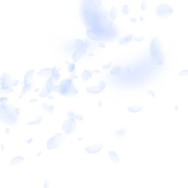 Pétales de fleurs bleu clair tombant. Parfait rom — Image vectorielle