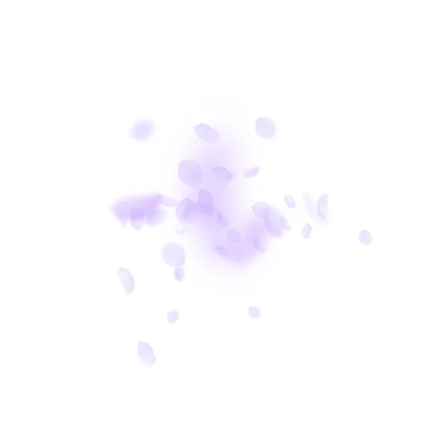 Pétalos de flores violetas cayendo. Romanti popular — Archivo Imágenes Vectoriales