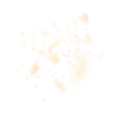 Sarı turuncu çiçek yaprakları dökülüyor. Çok klas.