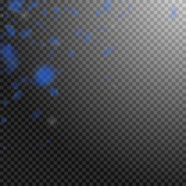 Koyu mavi çiçek yaprakları dökülüyor. Nadir romantiktir.