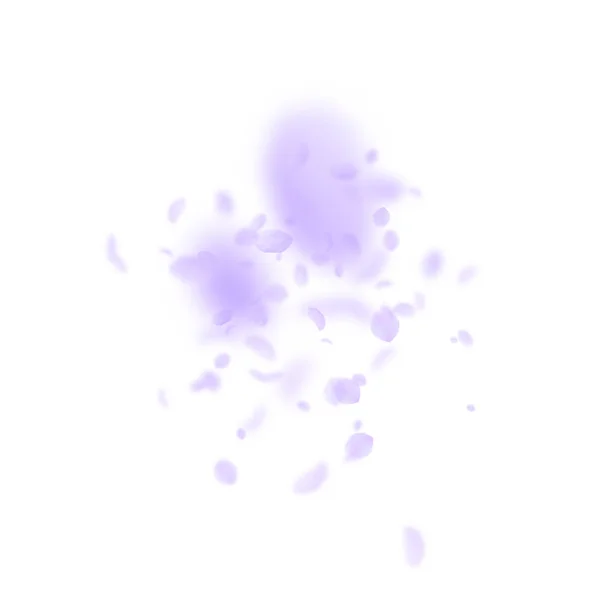 Des pétales de fleurs violettes tombent. Romanti classique — Image vectorielle