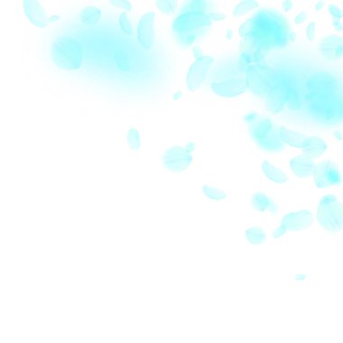 Turkuaz çiçek yaprakları dökülüyor. Ro 'ya çağrı