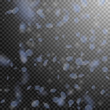 Açık mavi çiçek yaprakları dökülüyor. Popüler rom