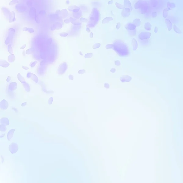 紫色の花の花弁が落ちてきます。ロマンの誘惑 — ストックベクタ