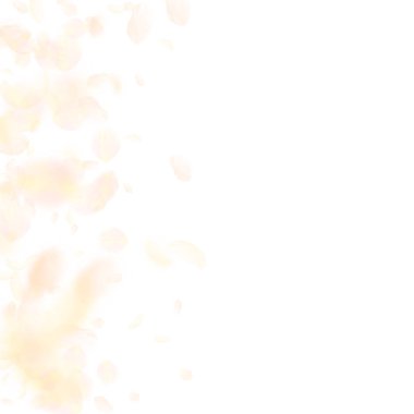 Aşağı düşen sarı turuncu çiçek yaprakları. Süper r