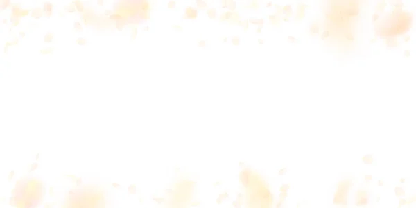 Pétalos de flor naranja amarilla cayendo. Grandes flores románticas cayendo lluvia. Pétalo volador sobre fondo blanco ancho. Amor, concepto romántico. Encantadora invitación de boda . — Archivo Imágenes Vectoriales