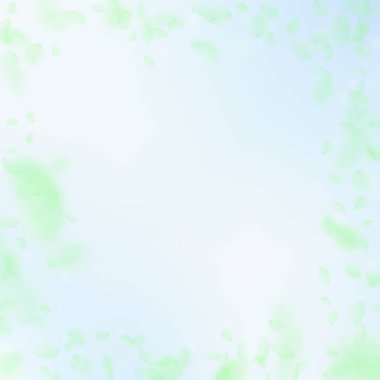 Yeşil çiçek yaprakları aşağı düşen. Büyüleyici roma