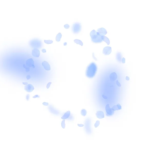 Pétales de fleurs bleu foncé tombant. Roma probable — Image vectorielle
