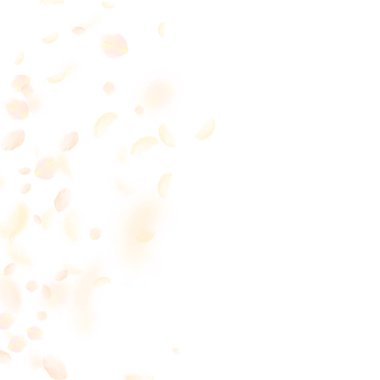 Aşağı düşen sarı turuncu çiçek yaprakları. Hayatta ro