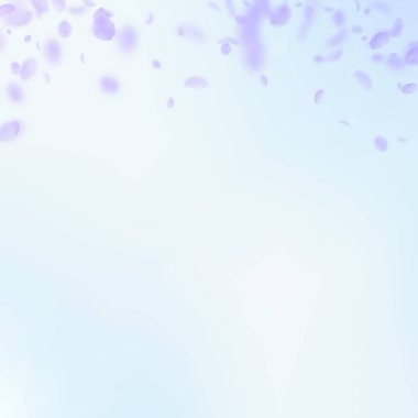 Mor çiçek yaprakları dökülüyor. Seçkin Romanti.