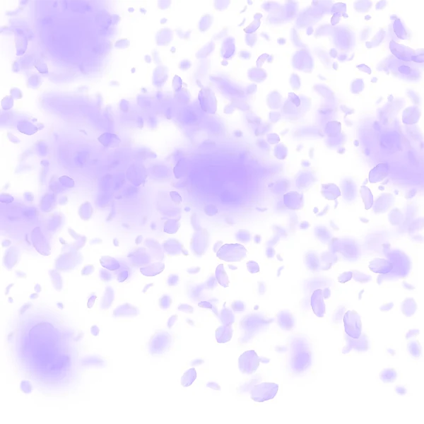 Pétalos de flores violetas cayendo. Rom resplandeciente — Vector de stock