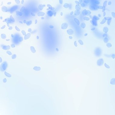 Koyu mavi çiçek yaprakları düşüyor. Kayda değer r