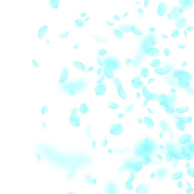 Turkuaz çiçek yaprakları dökülüyor. Düzgün Romalı