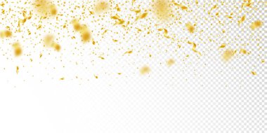 Flama ve konfeti. Altın gelin teli ve folyo ribbo