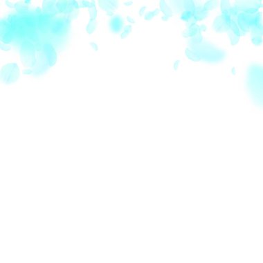 Turkuaz çiçek yaprakları dökülüyor. Değerli Roma