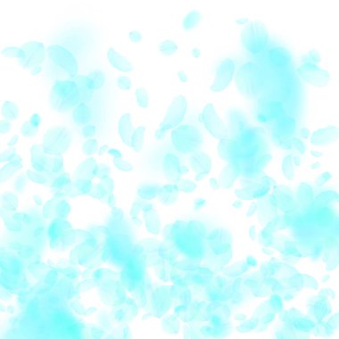 Turkuaz çiçek yaprakları dökülüyor. Yakışıklıymış.