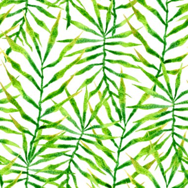 Tropikal seamless modeli. Suluboya dikenli palm 