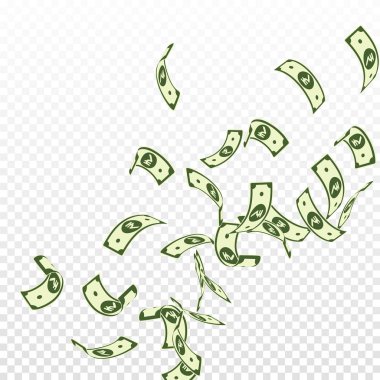 Hindistan rupisi düşüyor. Yüzen INR faturaları 