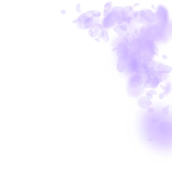 Pétalos de flores violetas cayendo. Impresionante ro — Archivo Imágenes Vectoriales