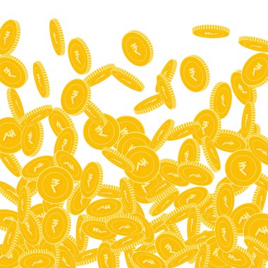 Hint paralarının düşüşü. Dağınık büyük INR madeni paraları