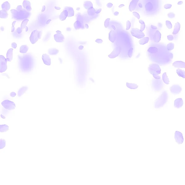 Лепестки фиолетовых цветов падают. Астонирующий рум — стоковый вектор
