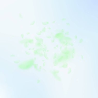 Yeşil çiçek yaprakları dökülüyor. Muhteşem Romanti.