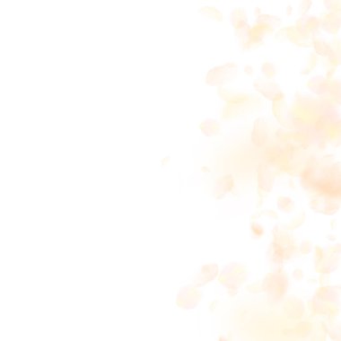 Sarı turuncu çiçek yaprakları dökülüyor. Güle güle.