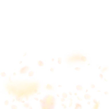 Aşağı düşen sarı turuncu çiçek yaprakları. Captivat