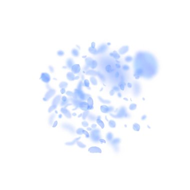 Koyu mavi çiçek yaprakları dökülüyor. Şirin Romanti.