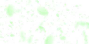 Yeşil çiçek yaprakları dökülüyor. Orijinal Romanti