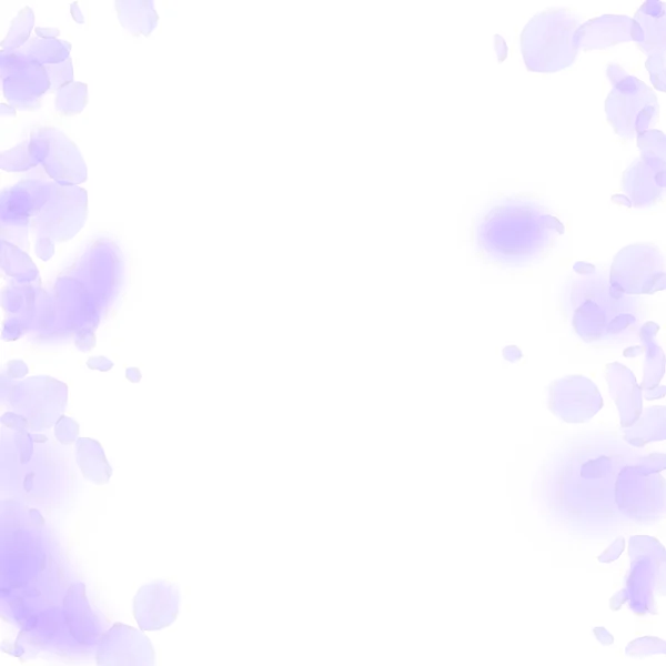 Pétalas de flores violetas a cair. Romântico suculento — Vetor de Stock